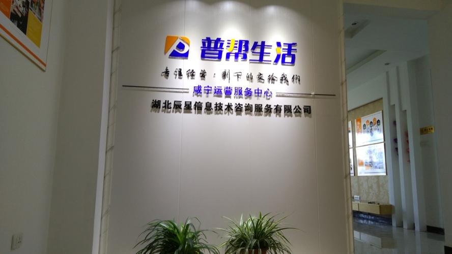 湖北辰星信息技术咨询服务